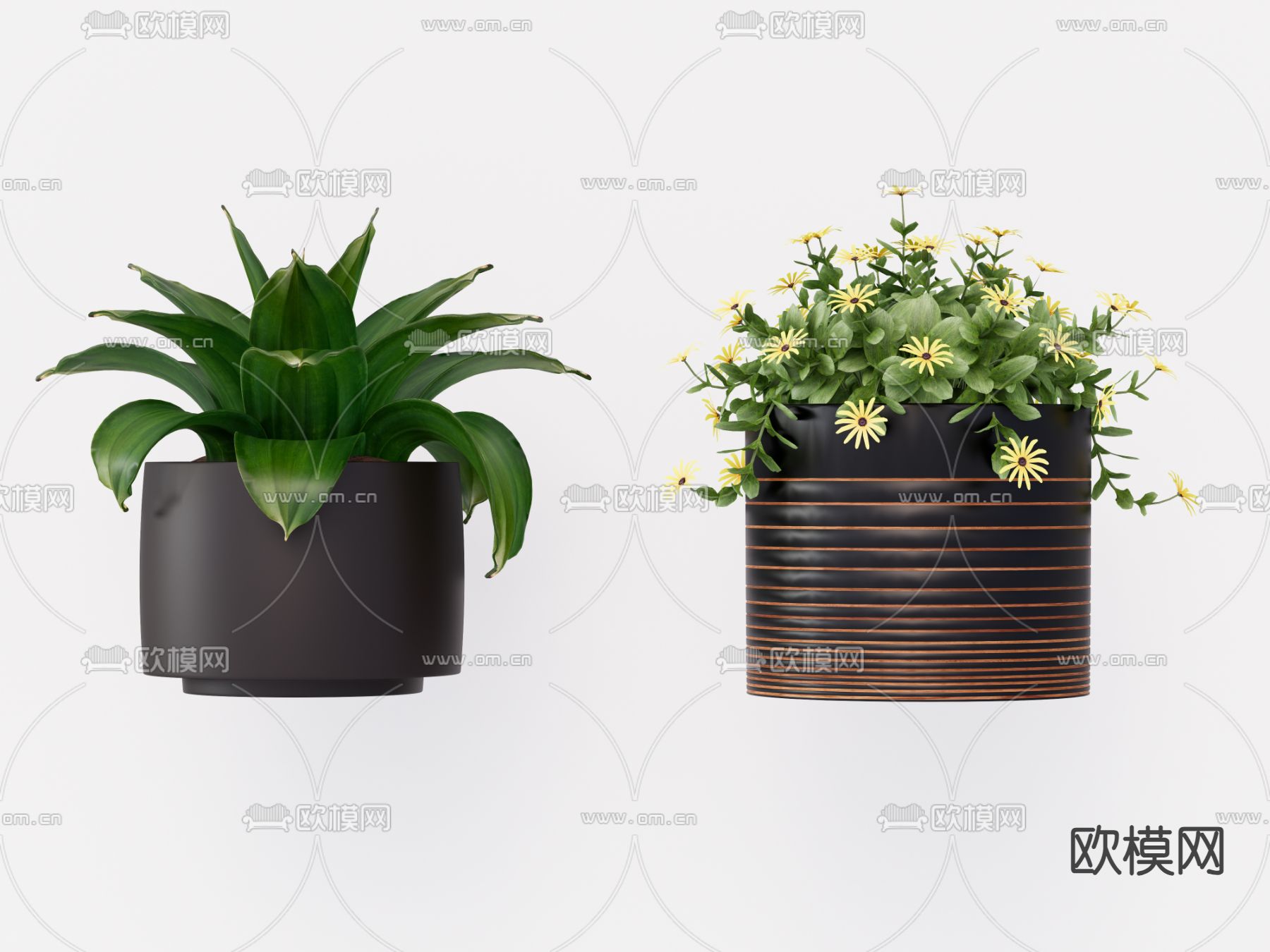 盆栽 盆景su模型下载（渲染图1）