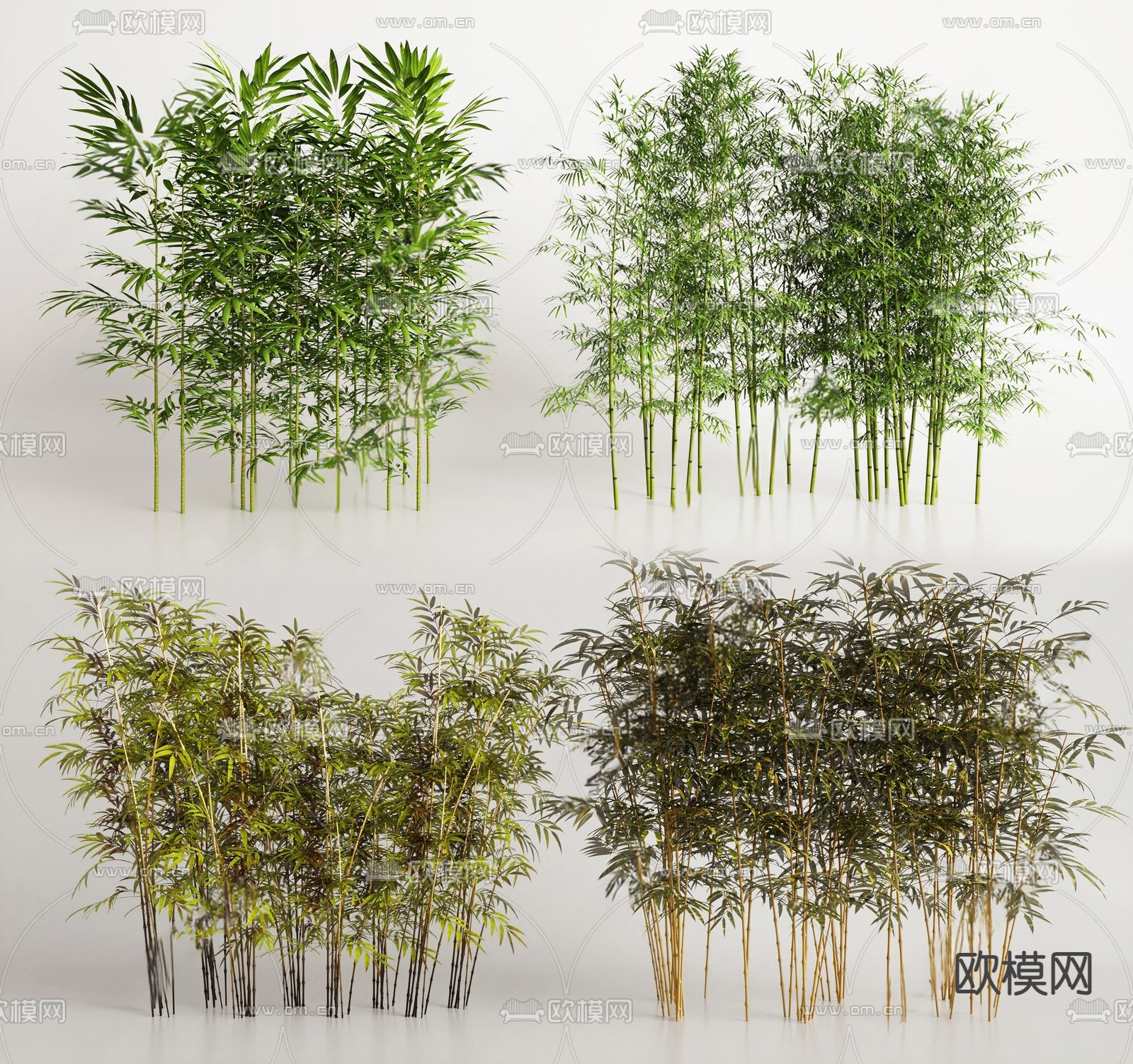 竹子su模型下载（渲染图1）