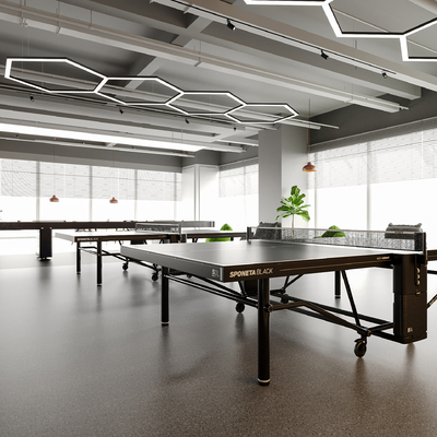  乒乓球馆su模型 