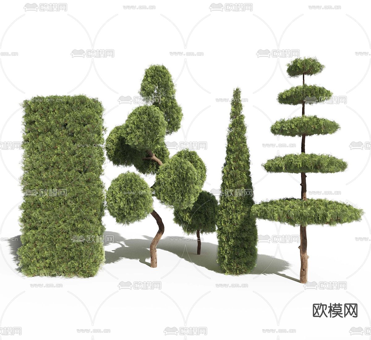 造型灌木 景观树3d模型下载（渲染图1）