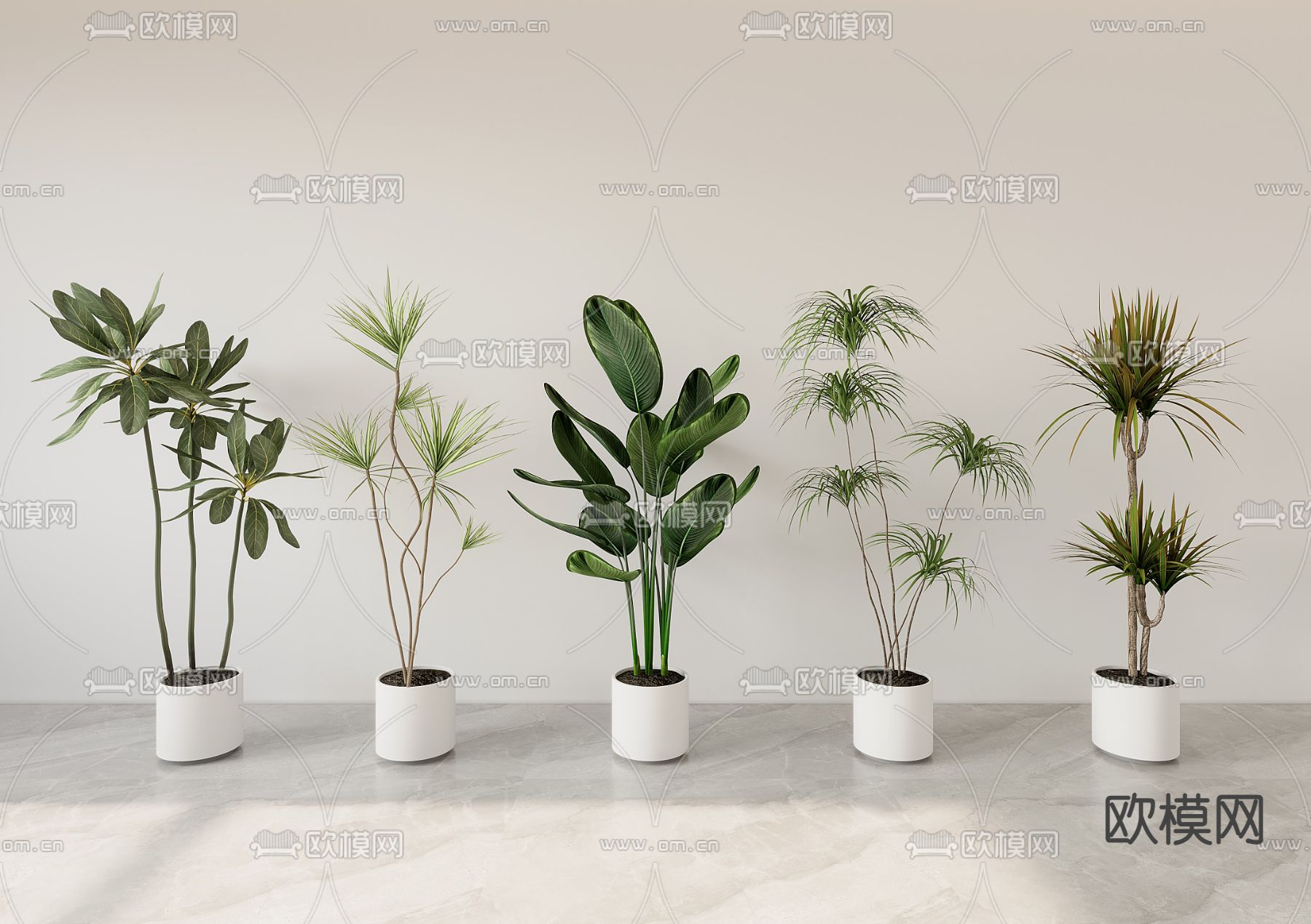 盆栽 盆景su模型下载（渲染图1）