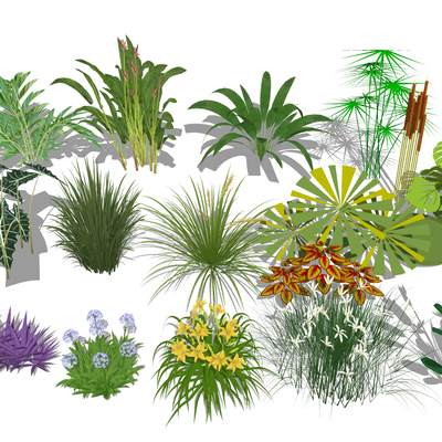  花草丛 灌木林su模型 