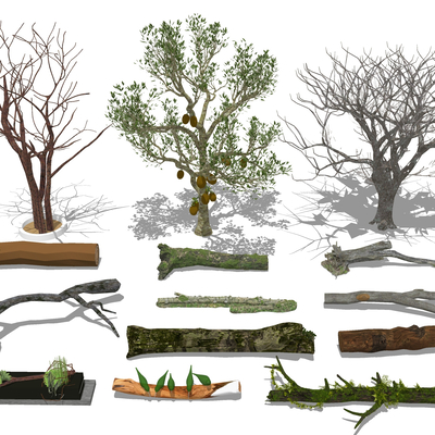  枯树木 树枝树杆su模型 