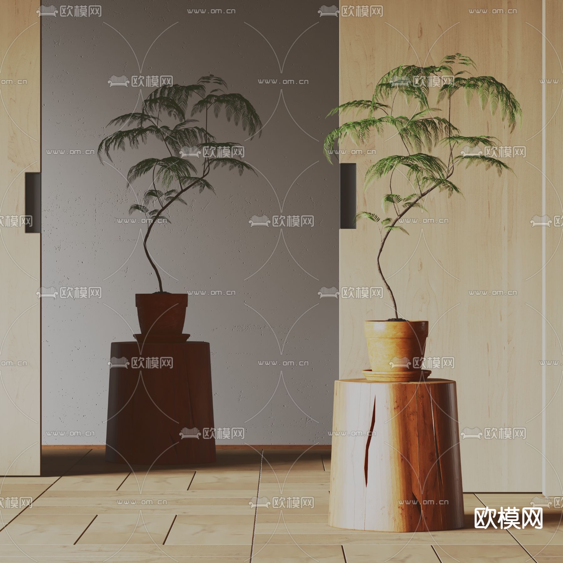 蕨类盆栽 盆景 绿植3d模型下载