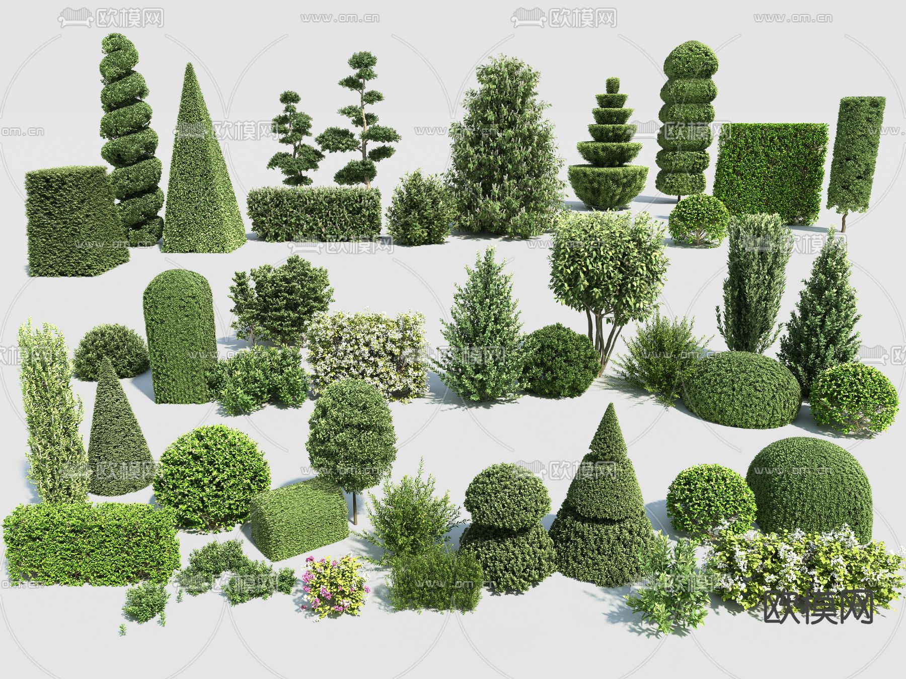 造型灌木 修剪灌木 绿篱 绿化带3d模型下载
