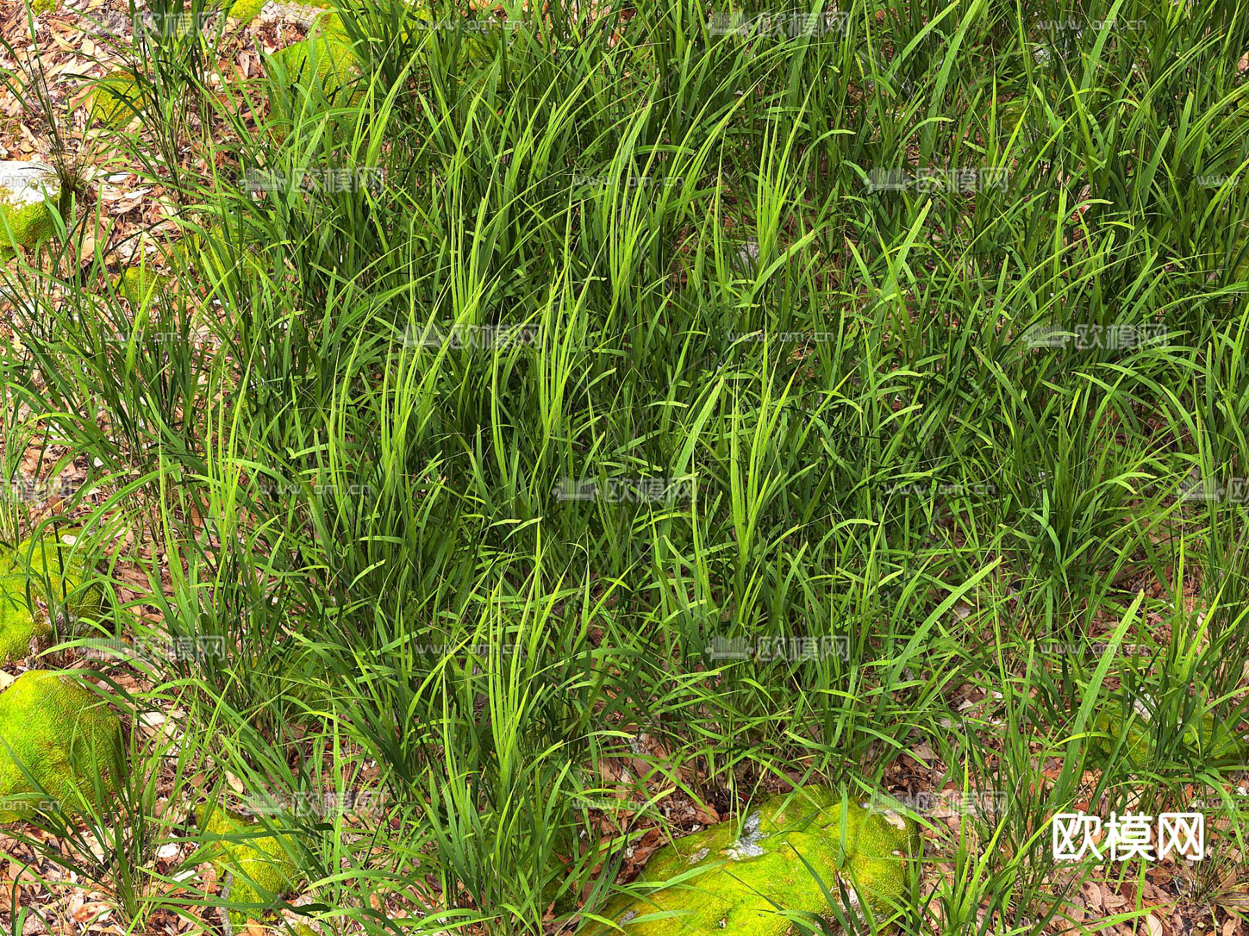 草地 草坪  草丛 草皮3d模型下载