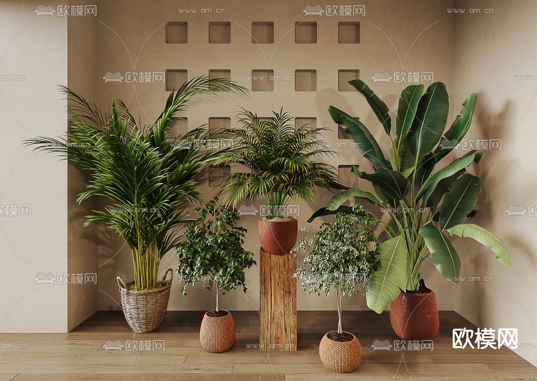 盆栽 盆景 芭蕉3d模型下载