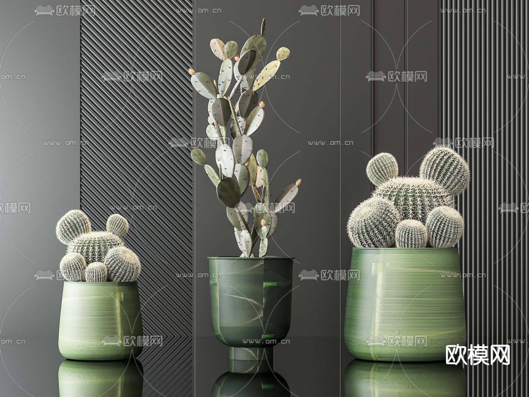 仙人掌 盆栽 盆景3d模型下载_ID14274106_3dmax免费模型-欧模网