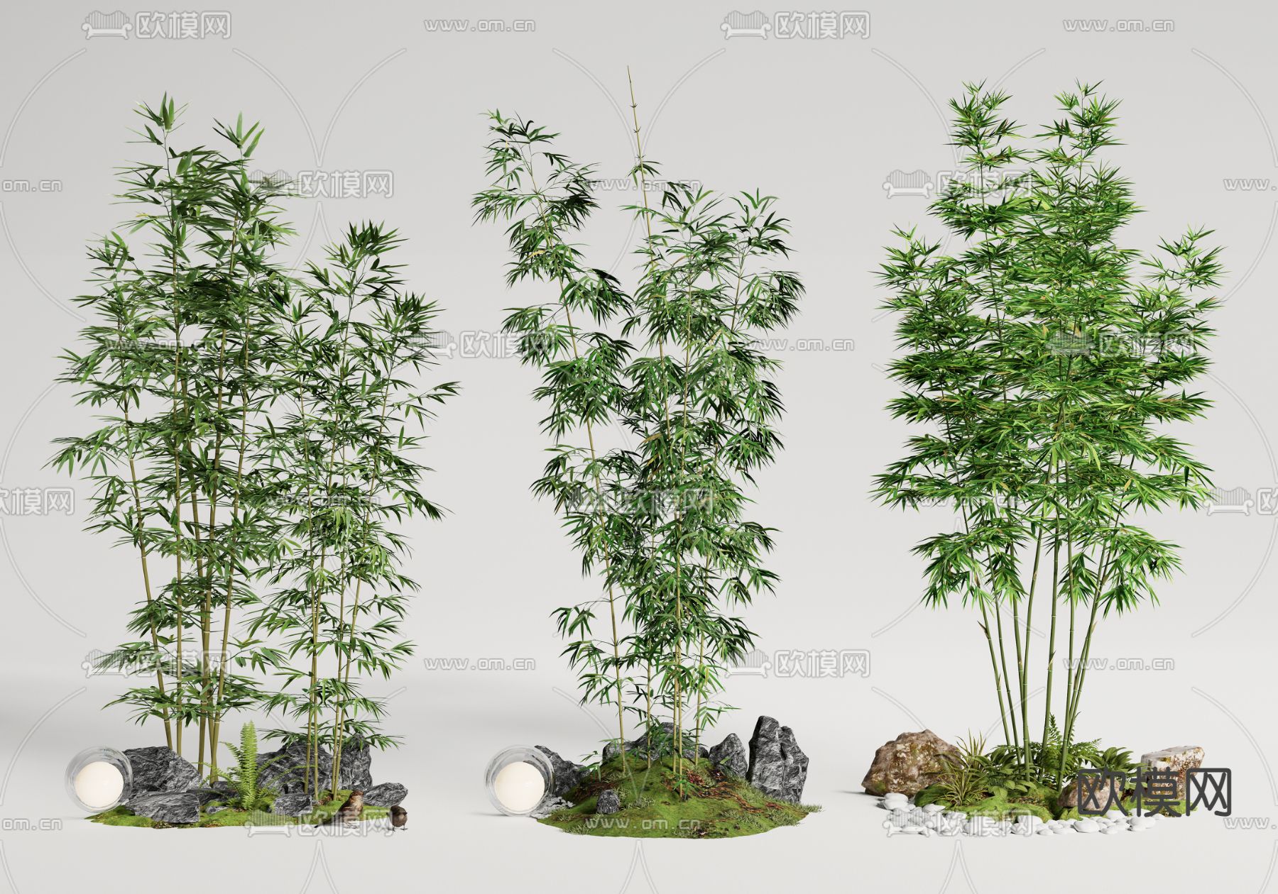 竹子 罗汉竹su模型下载（渲染图1）