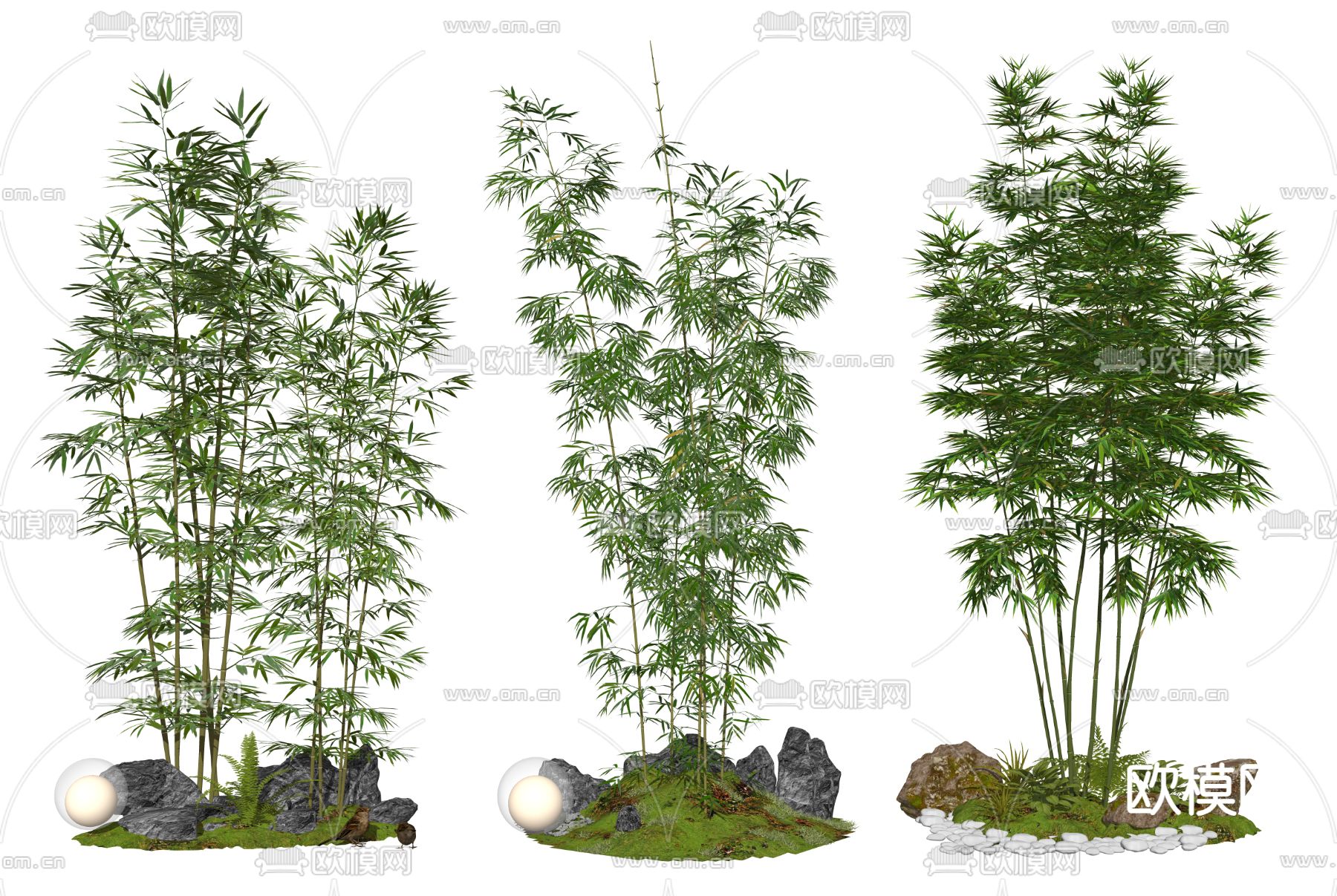 竹子 罗汉竹su模型下载（渲染图2）