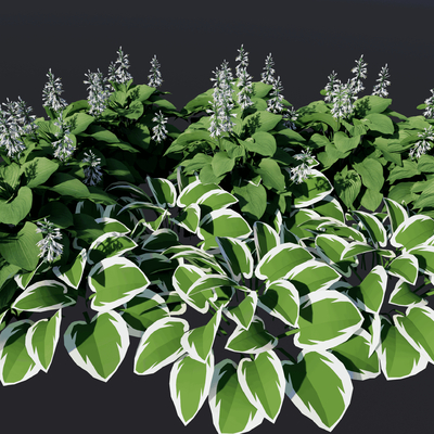  植物花卉su模型 