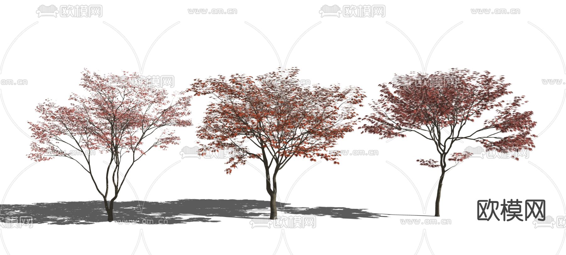 景观树su模型下载（渲染图2）