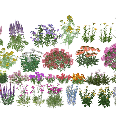  植物花卉su模型 