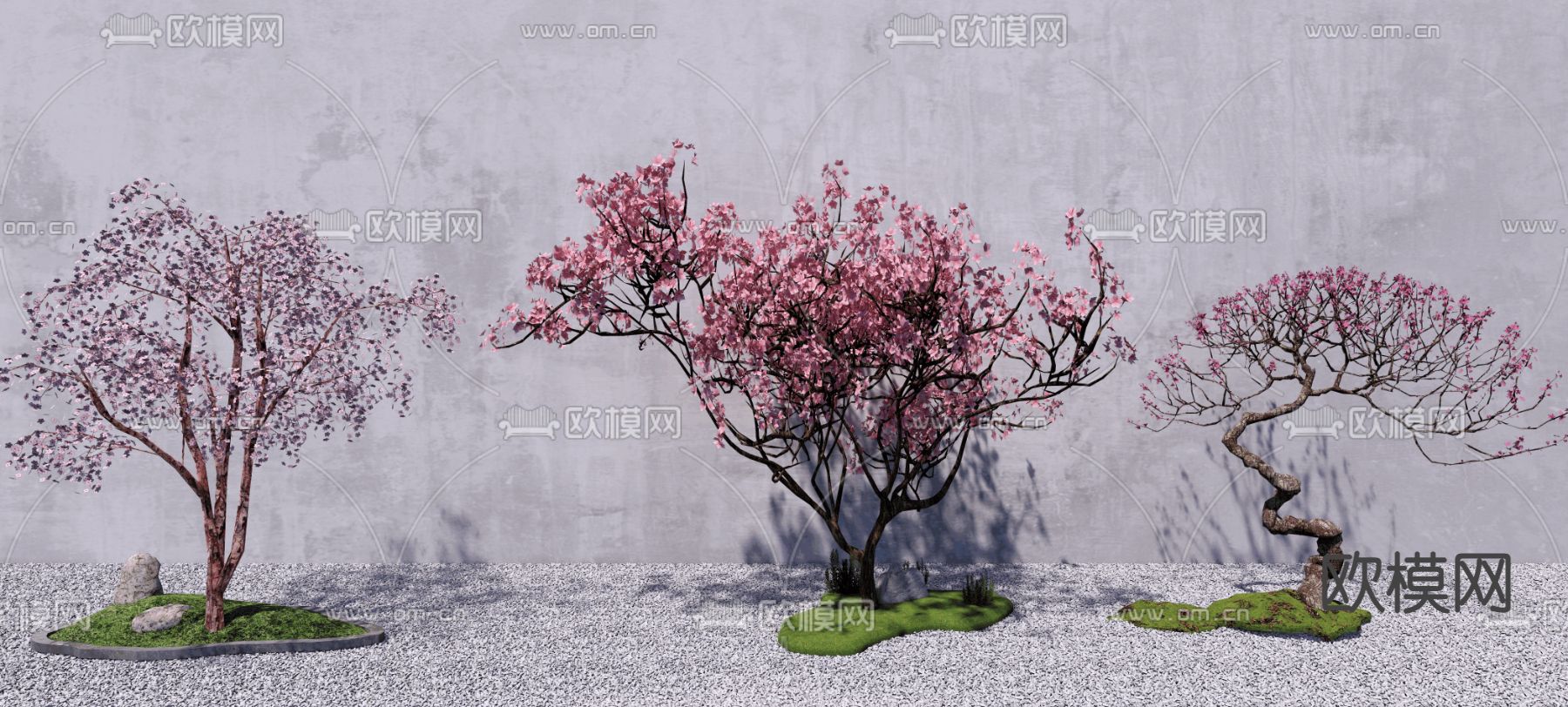 现代樱花树 景观树su模型下载（渲染图1）