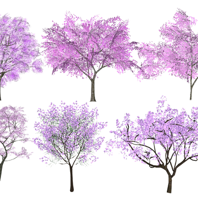  景观树 樱花树su模型 