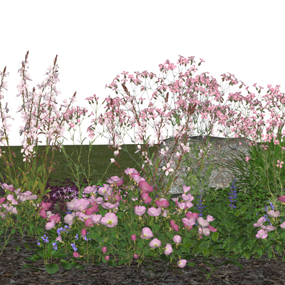  植物花卉su模型 