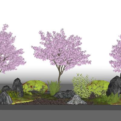  樱花树 景观树su模型 