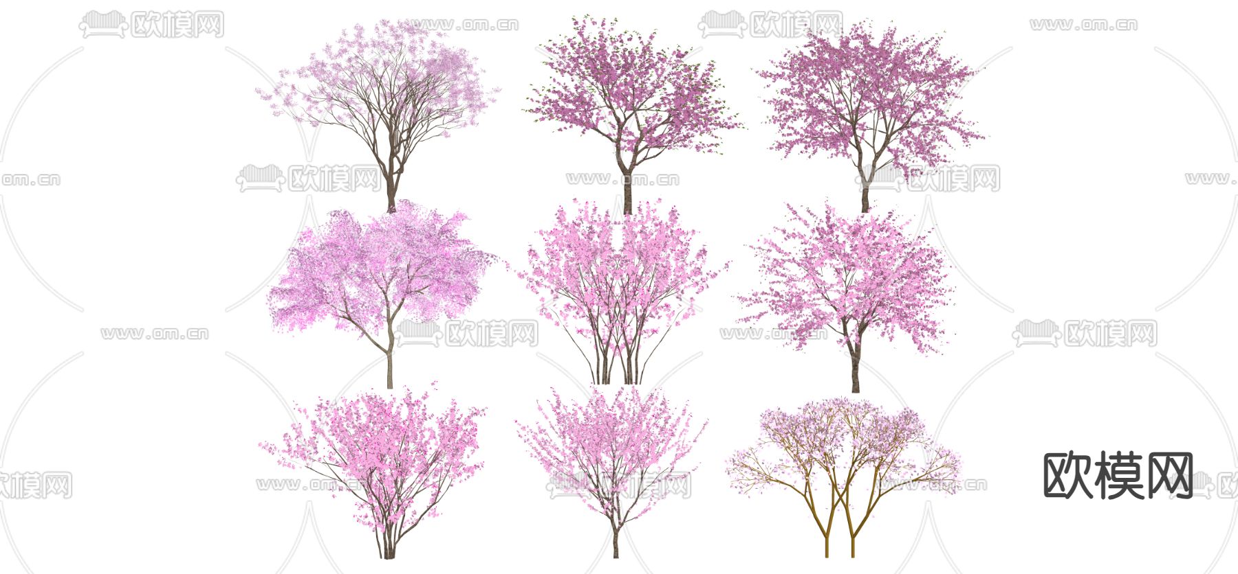 景观树su模型下载