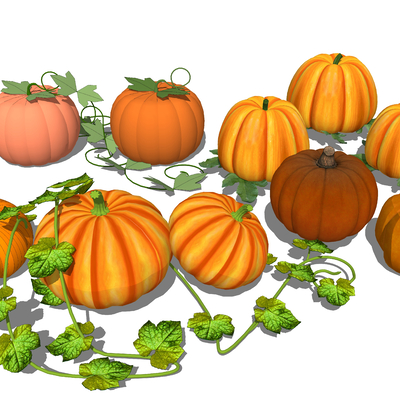  南瓜 蔬菜su模型 