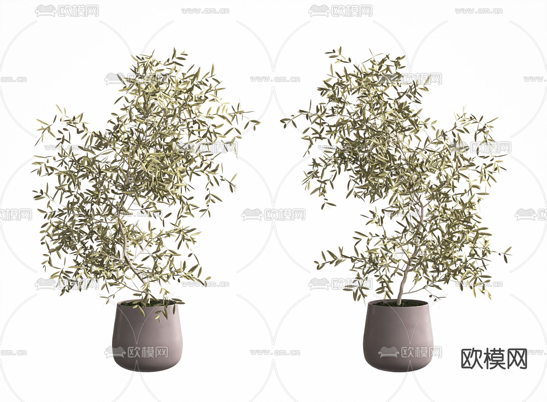 盆景 盆栽su模型下载（渲染图1）