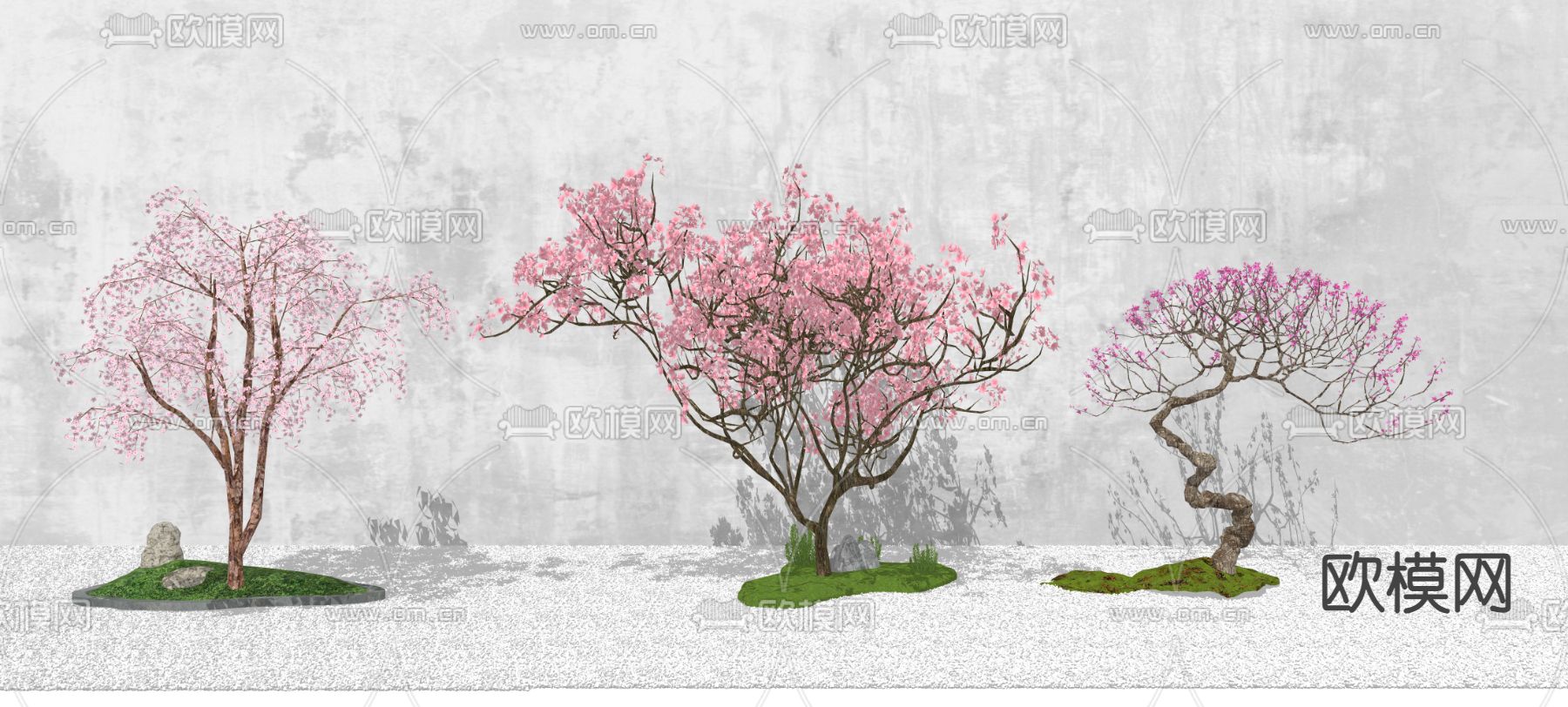 现代樱花树 景观树su模型下载（渲染图2）