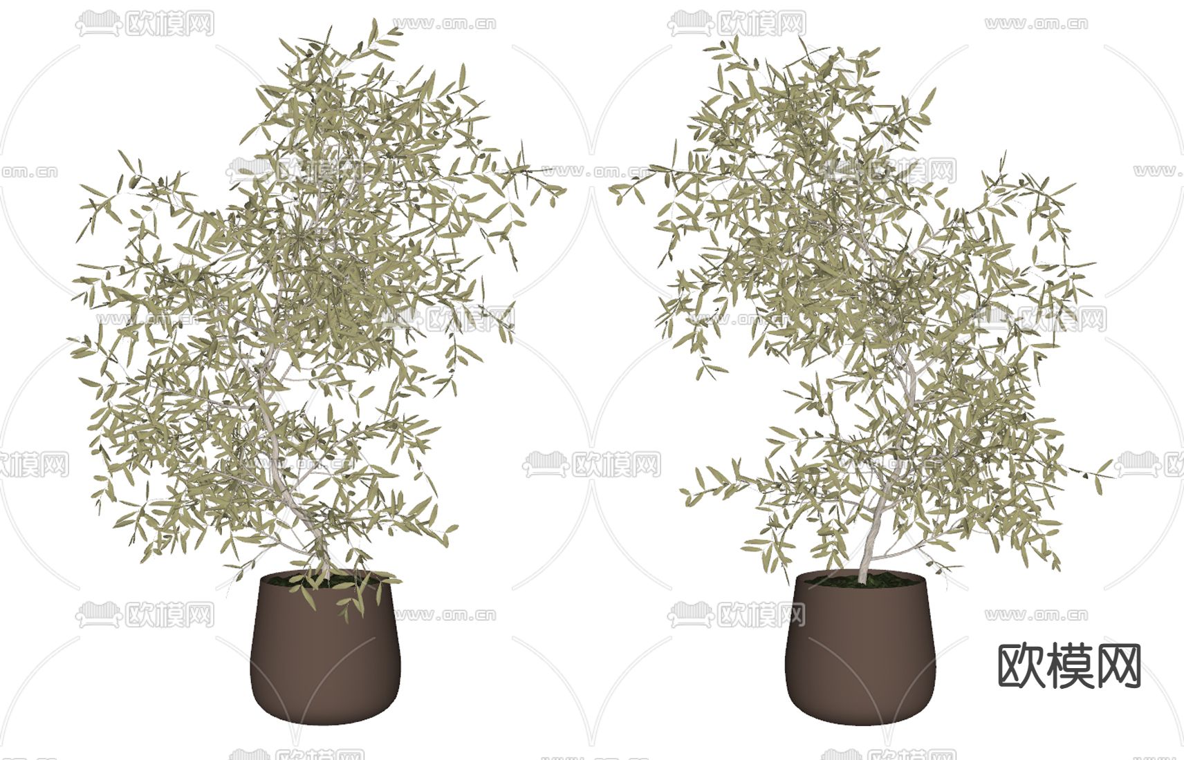 盆景 盆栽su模型下载（渲染图2）