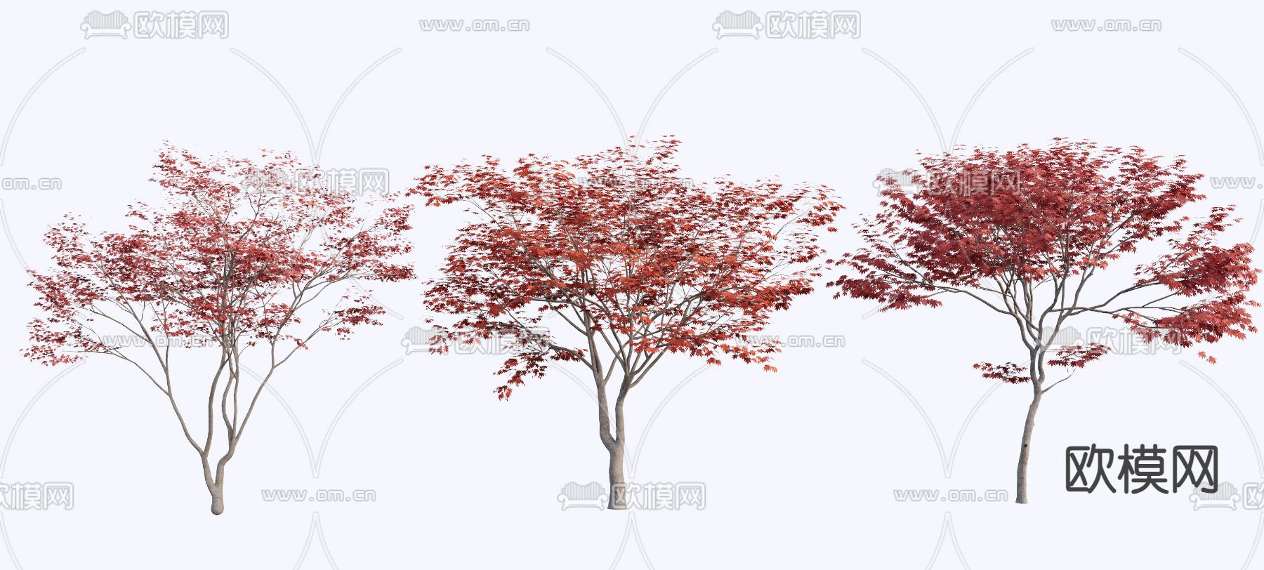 景观树su模型下载（渲染图1）
