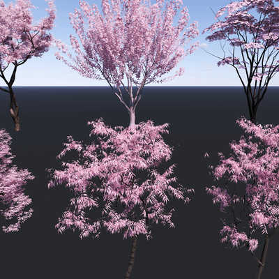  樱花树 景观树su模型 