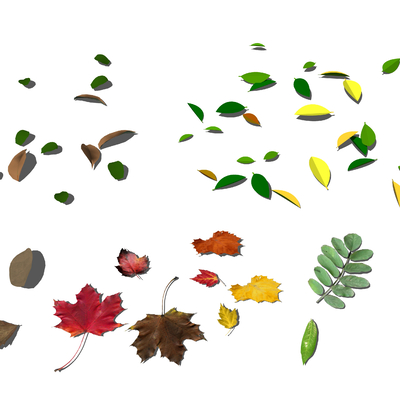  枯落叶 枫叶 树叶su模型 