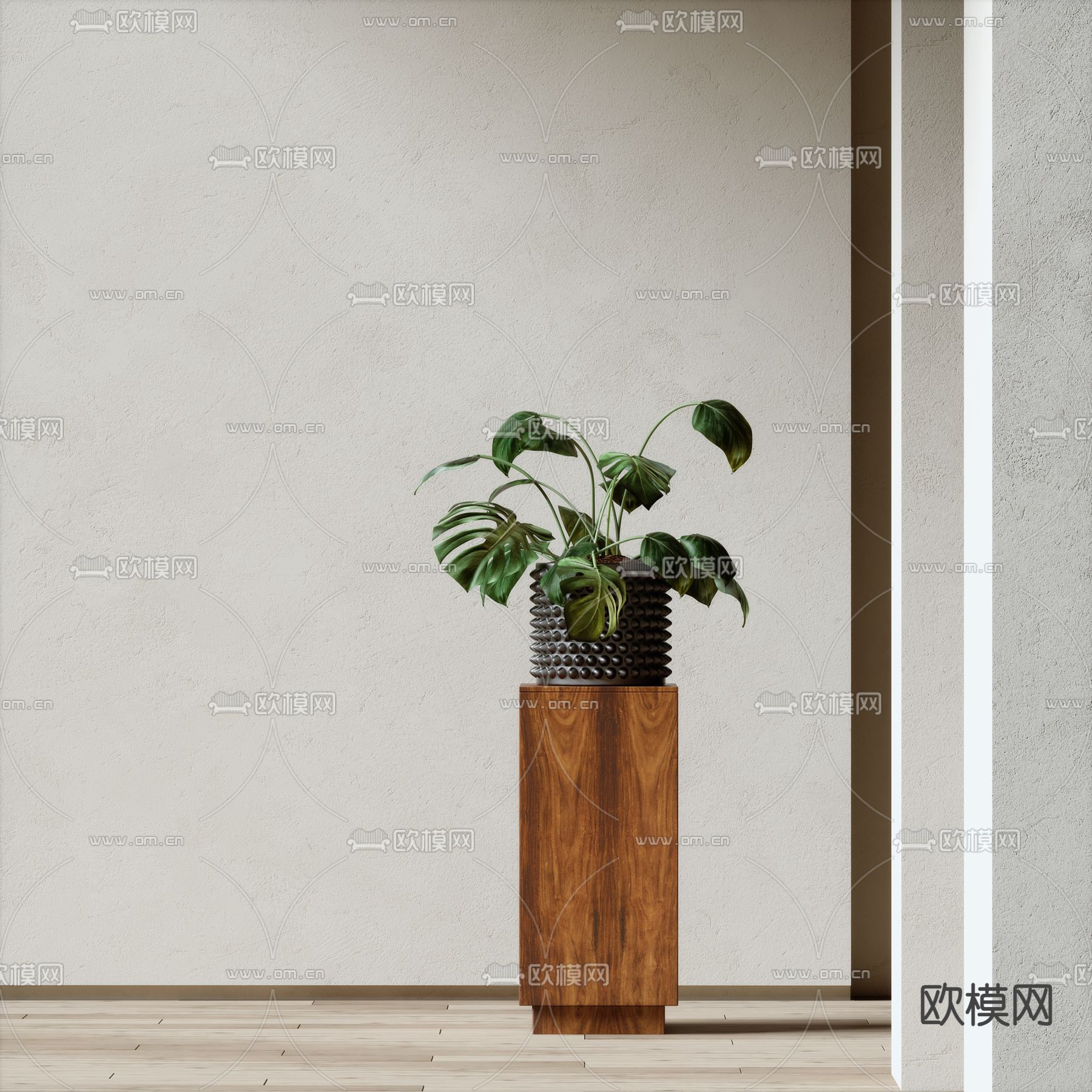 现代盆景 盆栽su模型下载（渲染图1）