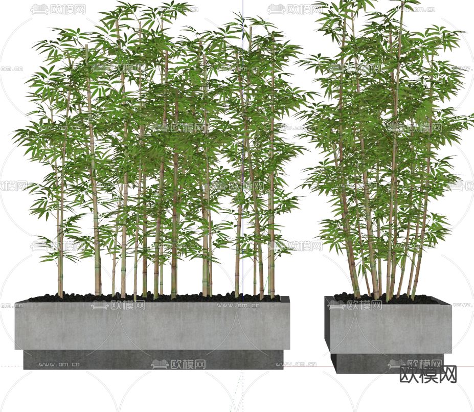 植物 竹子su模型下载（渲染图2）