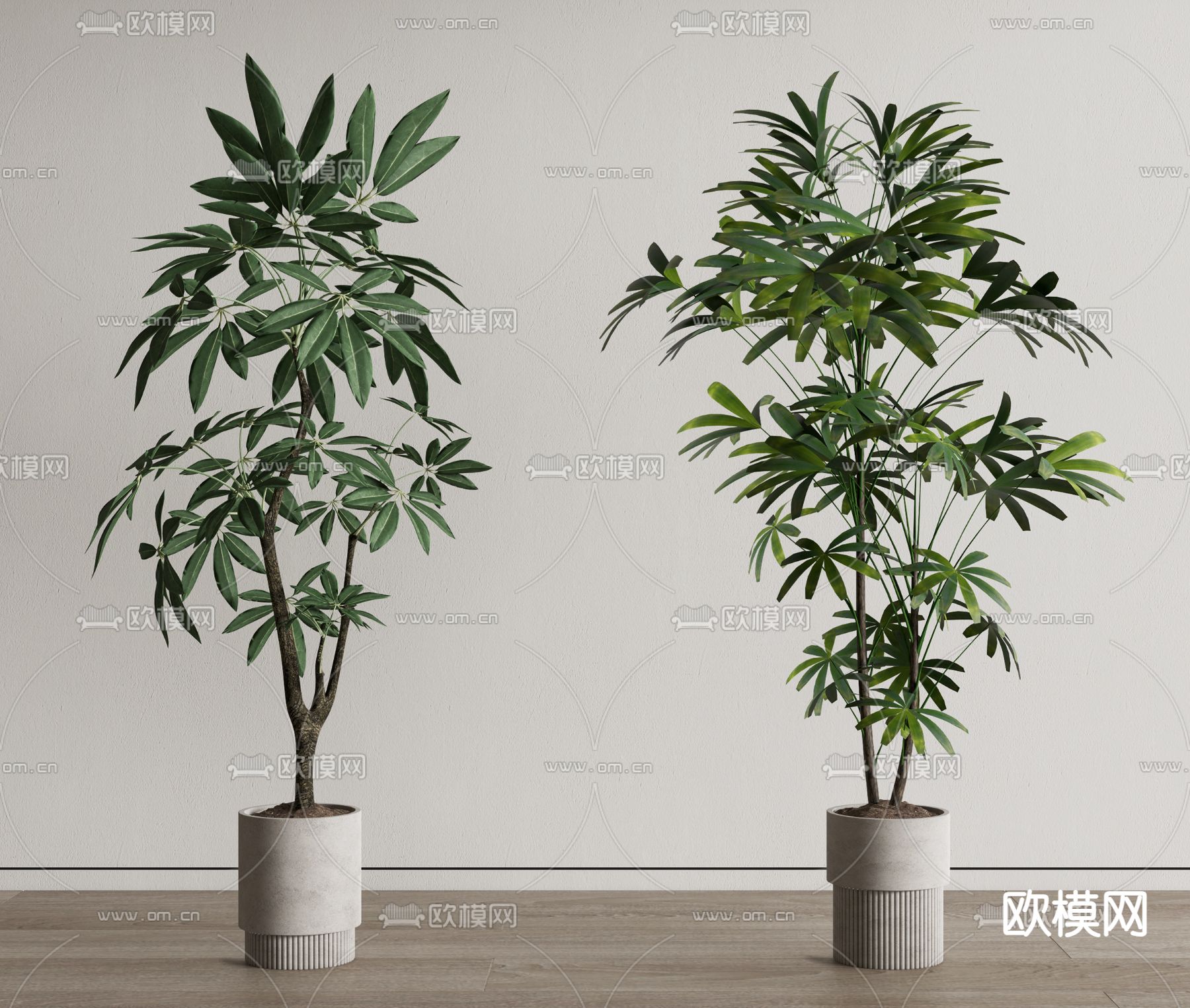 盆栽 盆景su模型