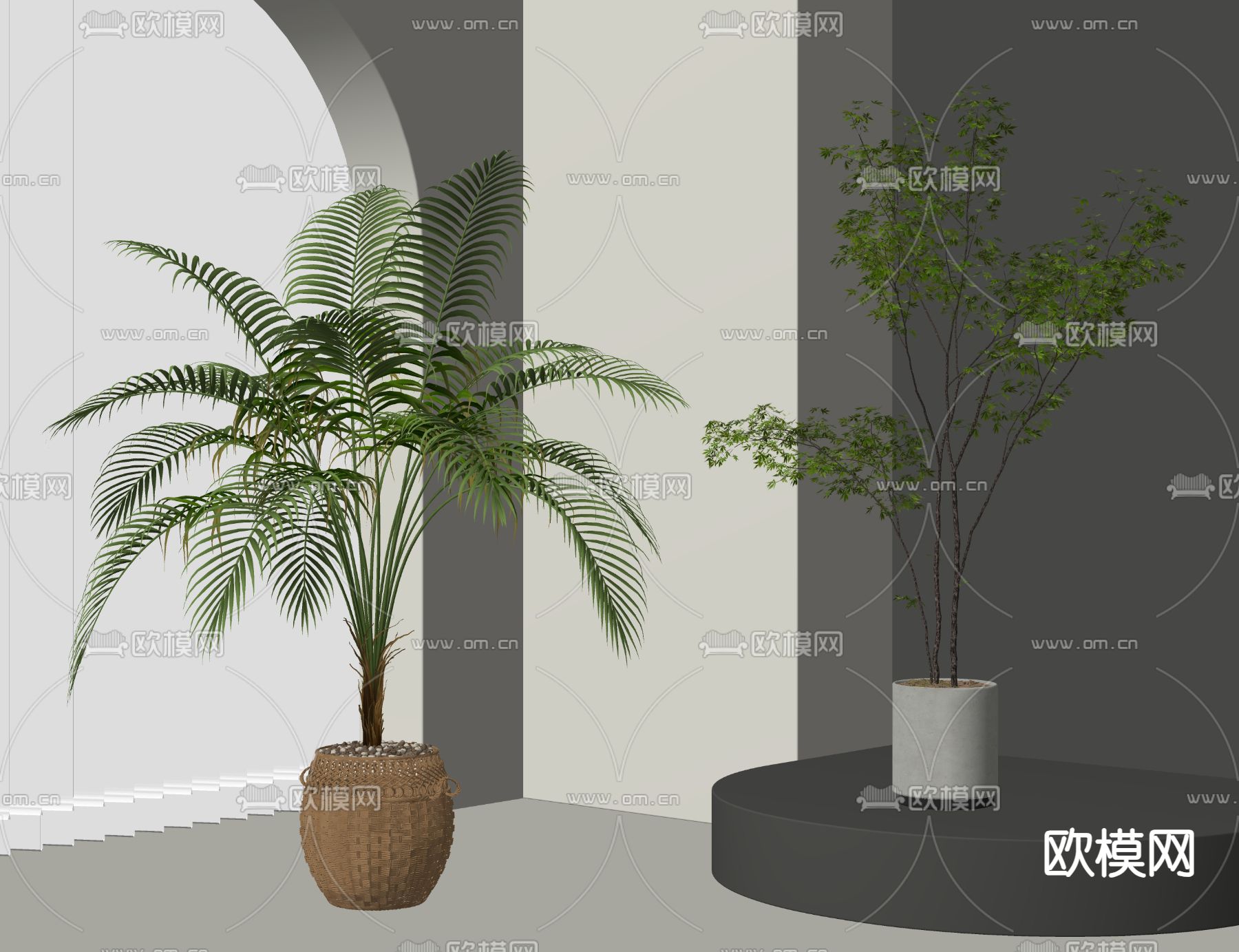 绿植盆栽 散尾葵su模型