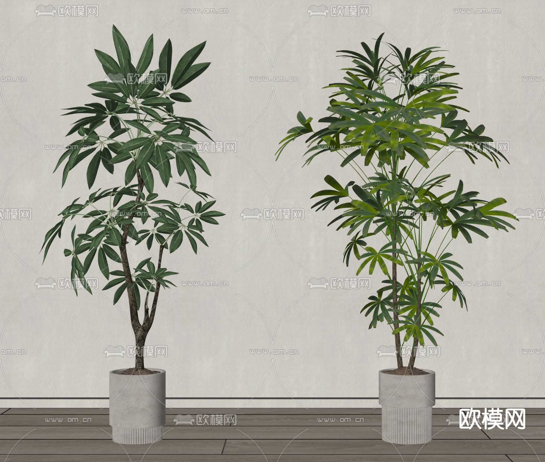 盆栽 盆景su模型