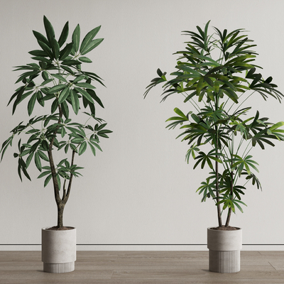 盆栽 盆景su模型