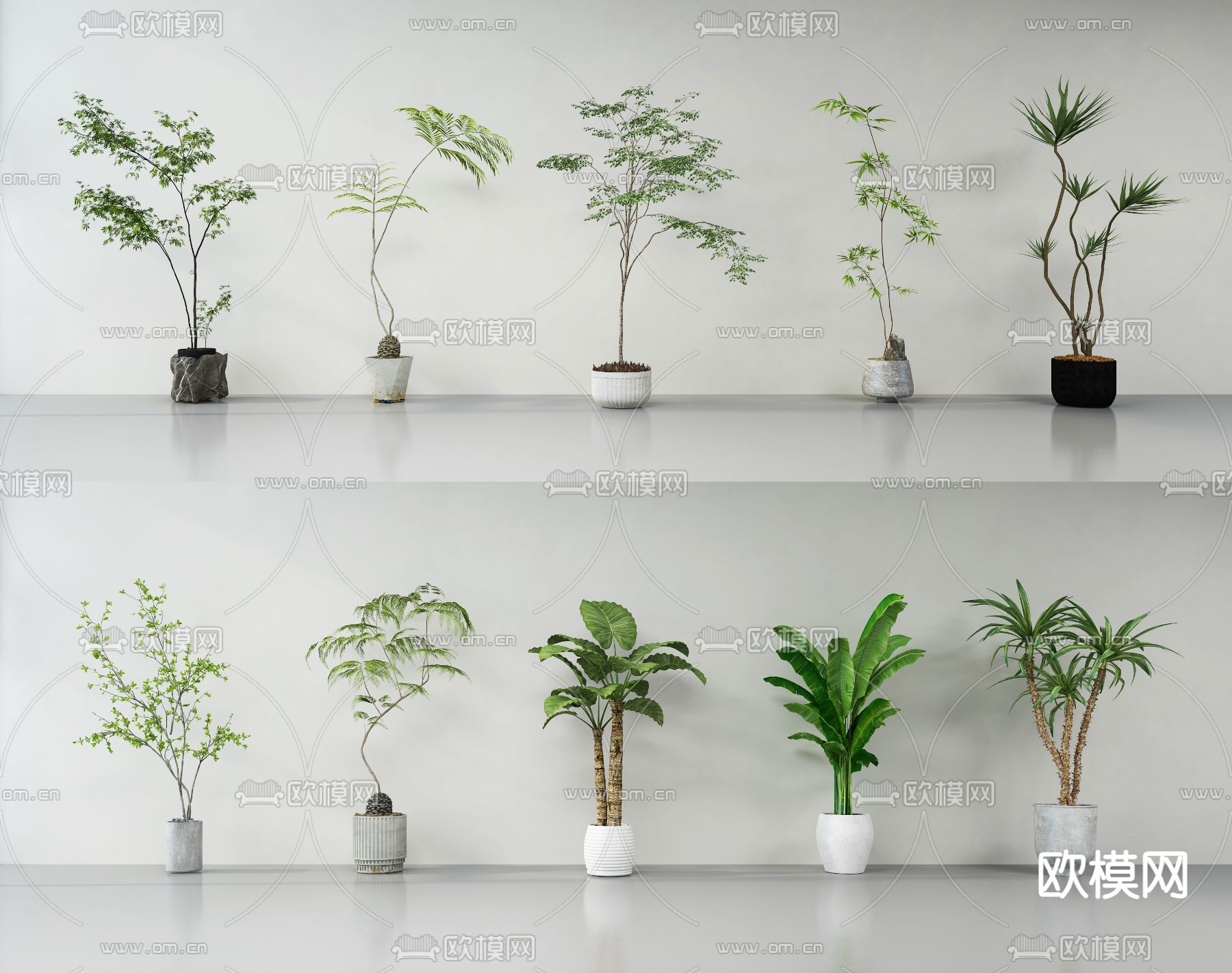 绿植 盆栽 植物3d模型下载_ID14279959_3dmax免费模型-欧模网