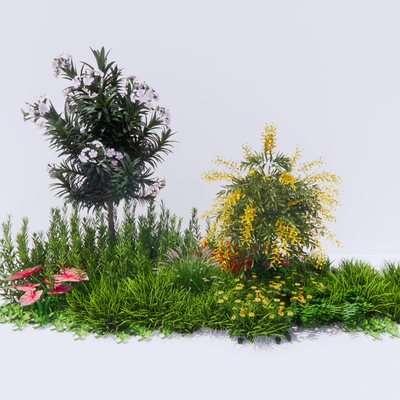  花草 花境 灌木su模型 