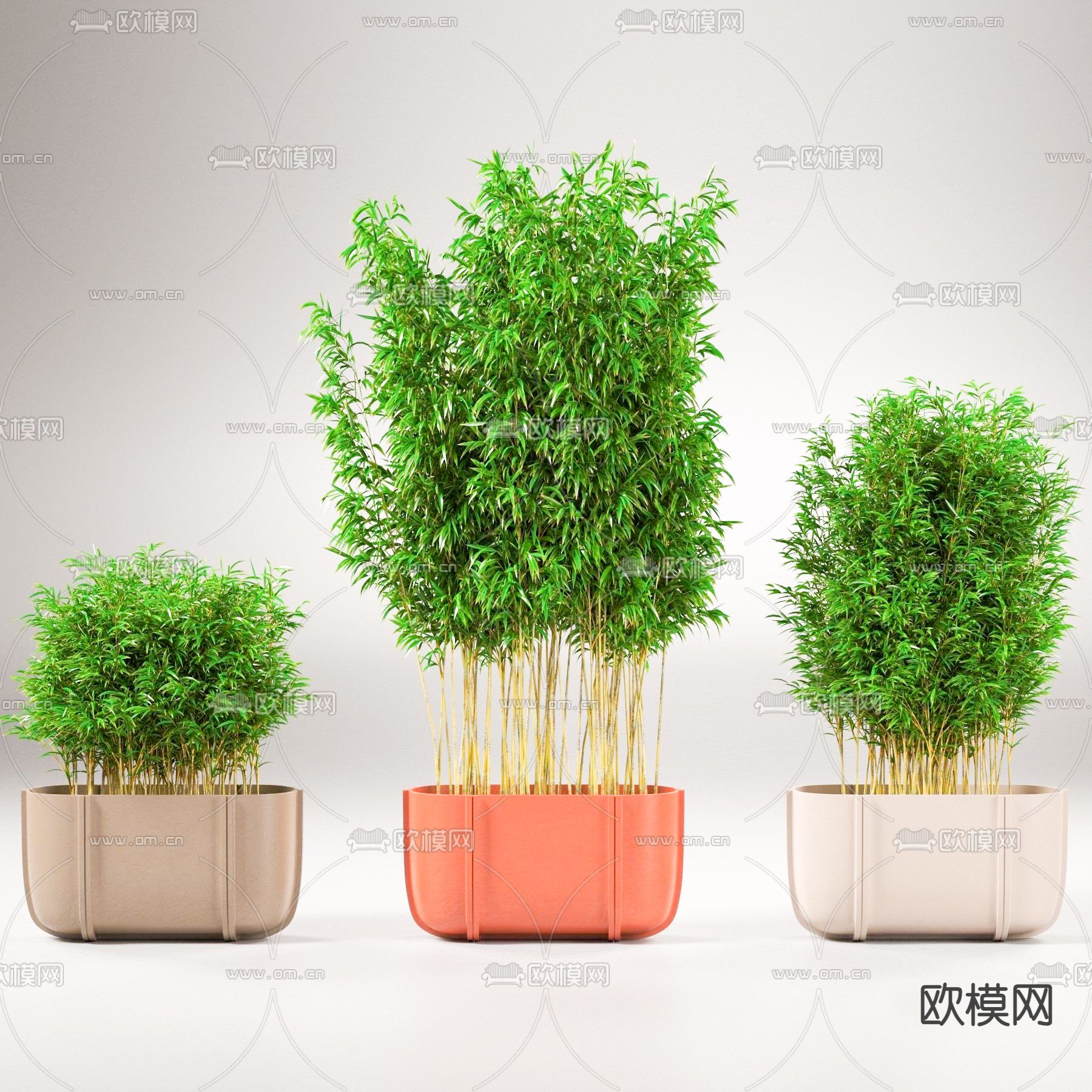 竹子su模型下载（渲染图1）