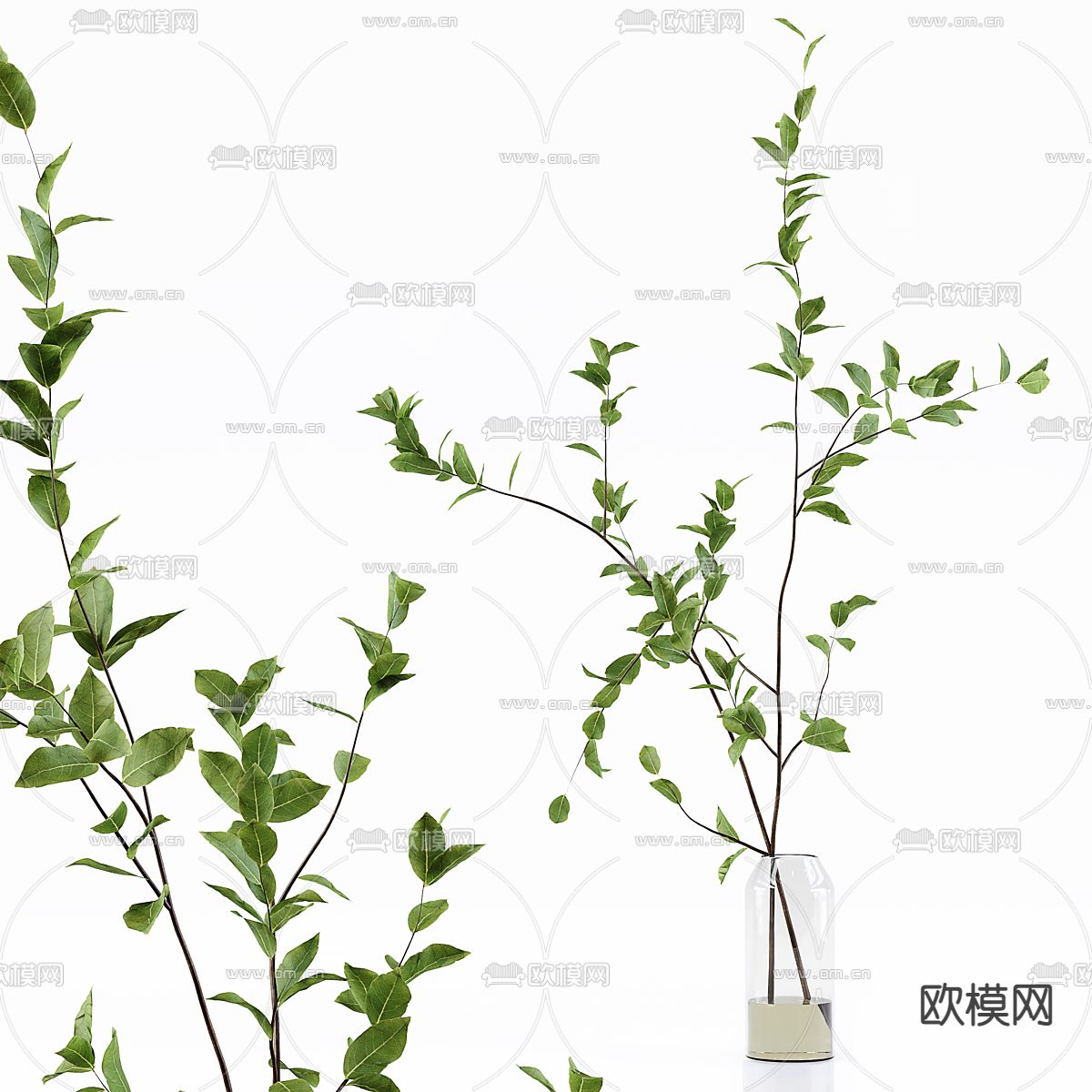 水生植物 水培绿植3d模型下载（渲染图3）