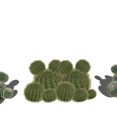  绿植 仙人球su模型 