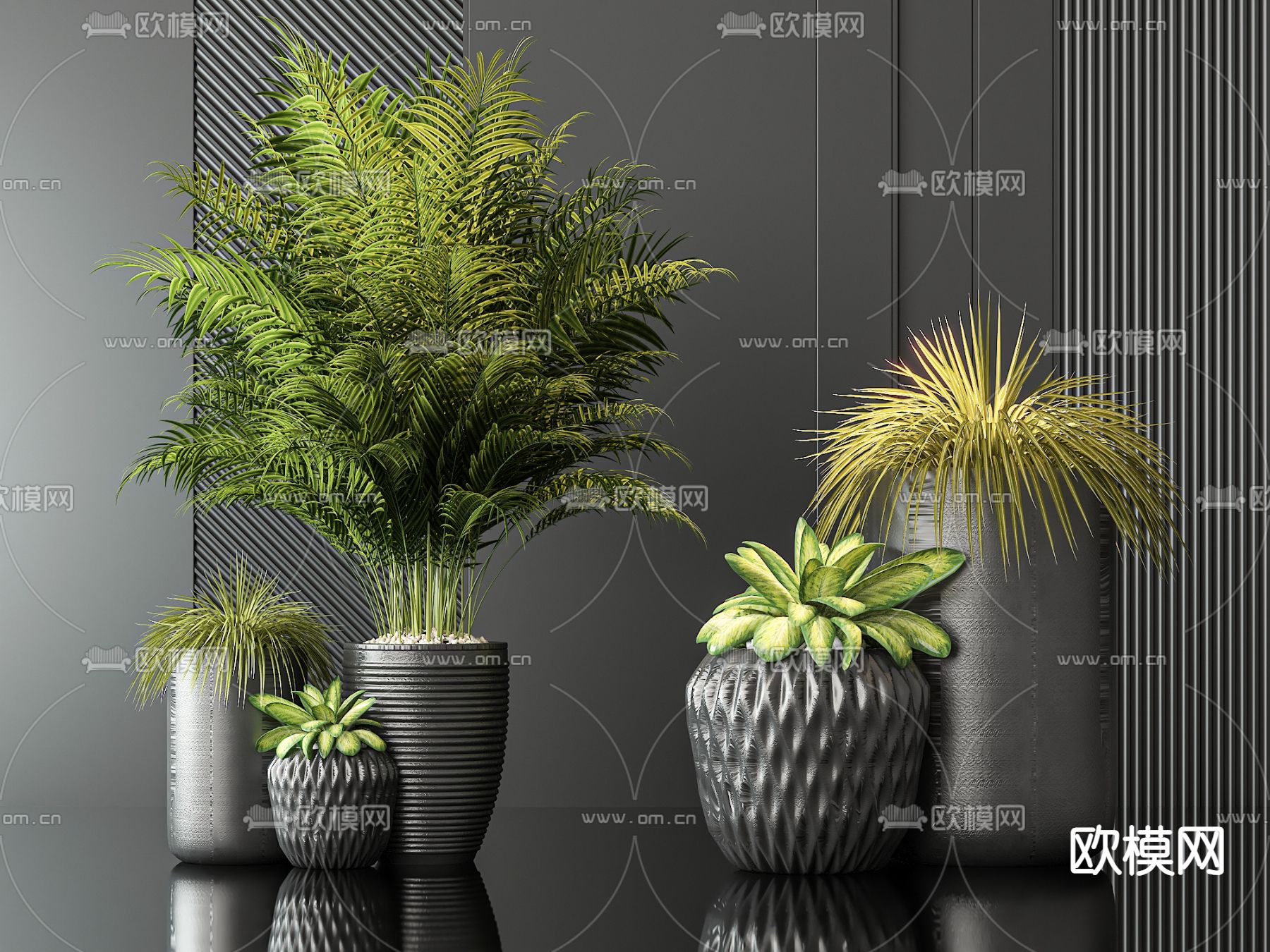 盆栽 盆景 绿植3d模型下载_ID14282712_3dmax免费模型-欧模网