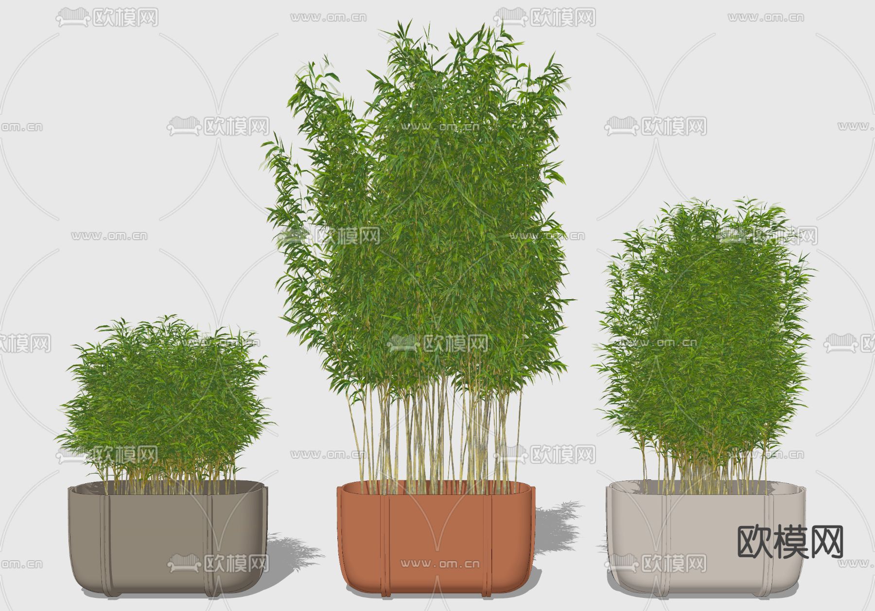 竹子su模型下载（渲染图2）