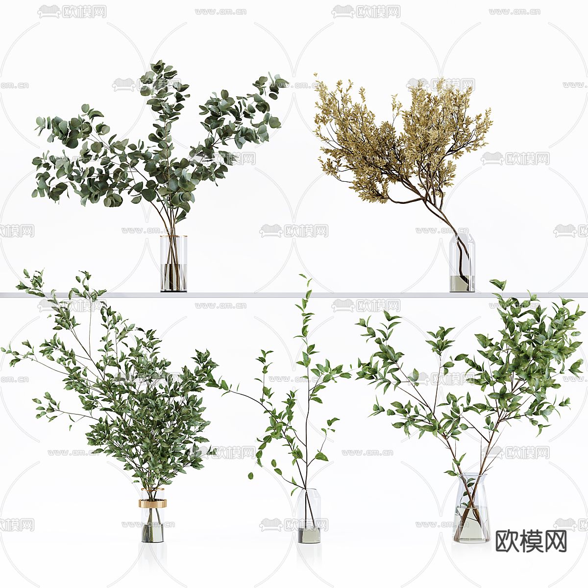 水生植物 水培绿植3d模型下载（渲染图1）