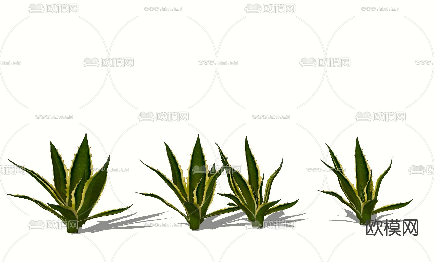 景观灌木 龙舌兰绿植su模型下载（渲染图1）