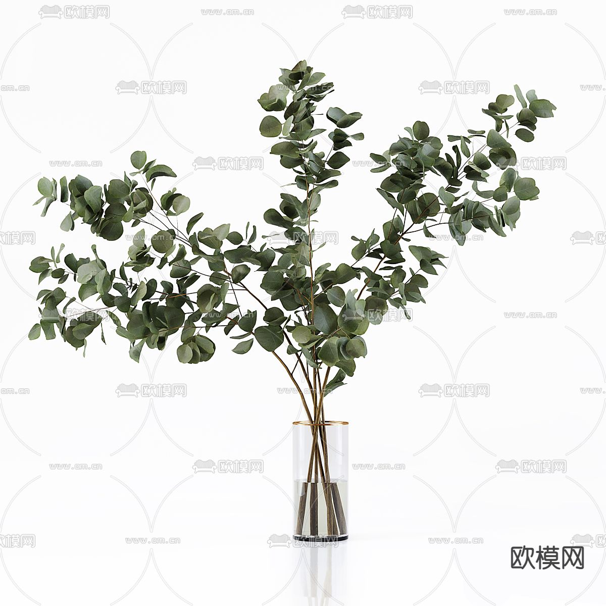 水生植物 水培绿植3d模型下载（渲染图4）