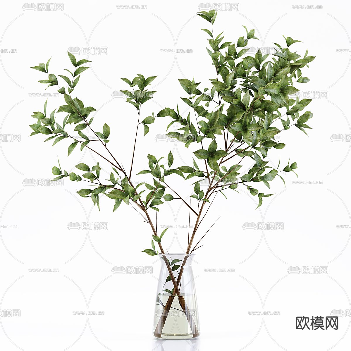 水生植物 水培绿植3d模型下载（渲染图2）