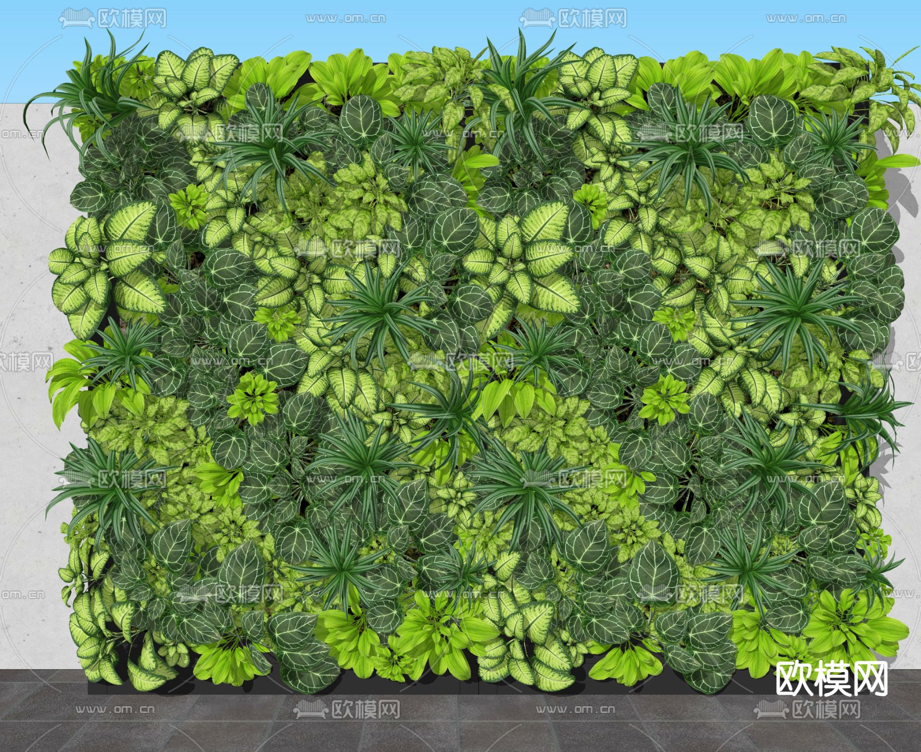绿植背景墙su模型下载（渲染图2）