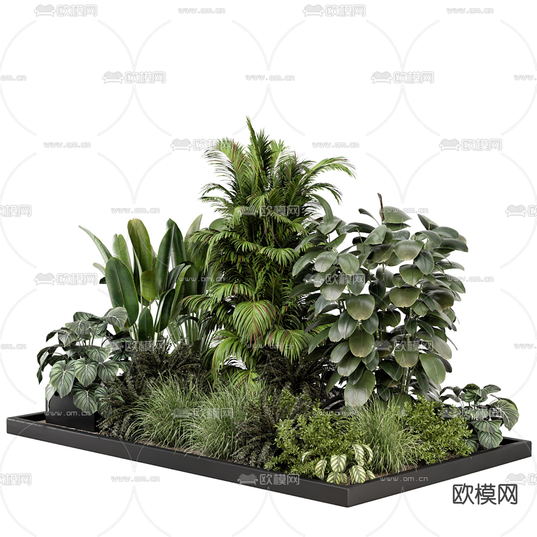 植物堆 园艺花圃 绿植造景3d模型下载（渲染图3）