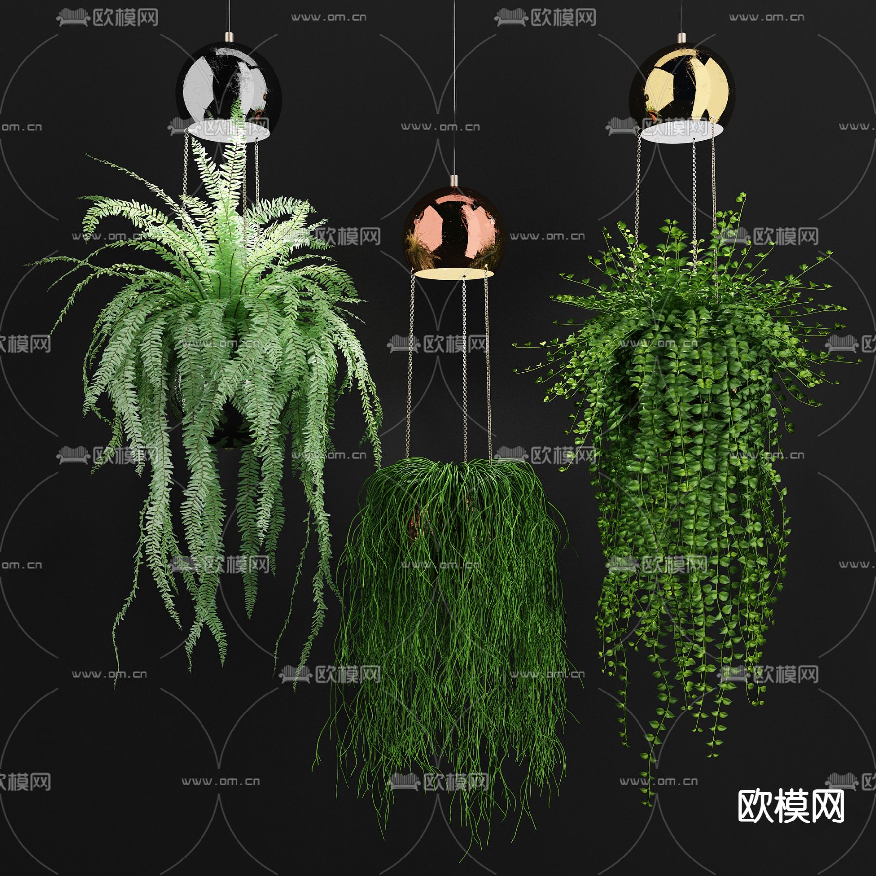 吊篮蕨类su模型下载（渲染图1）