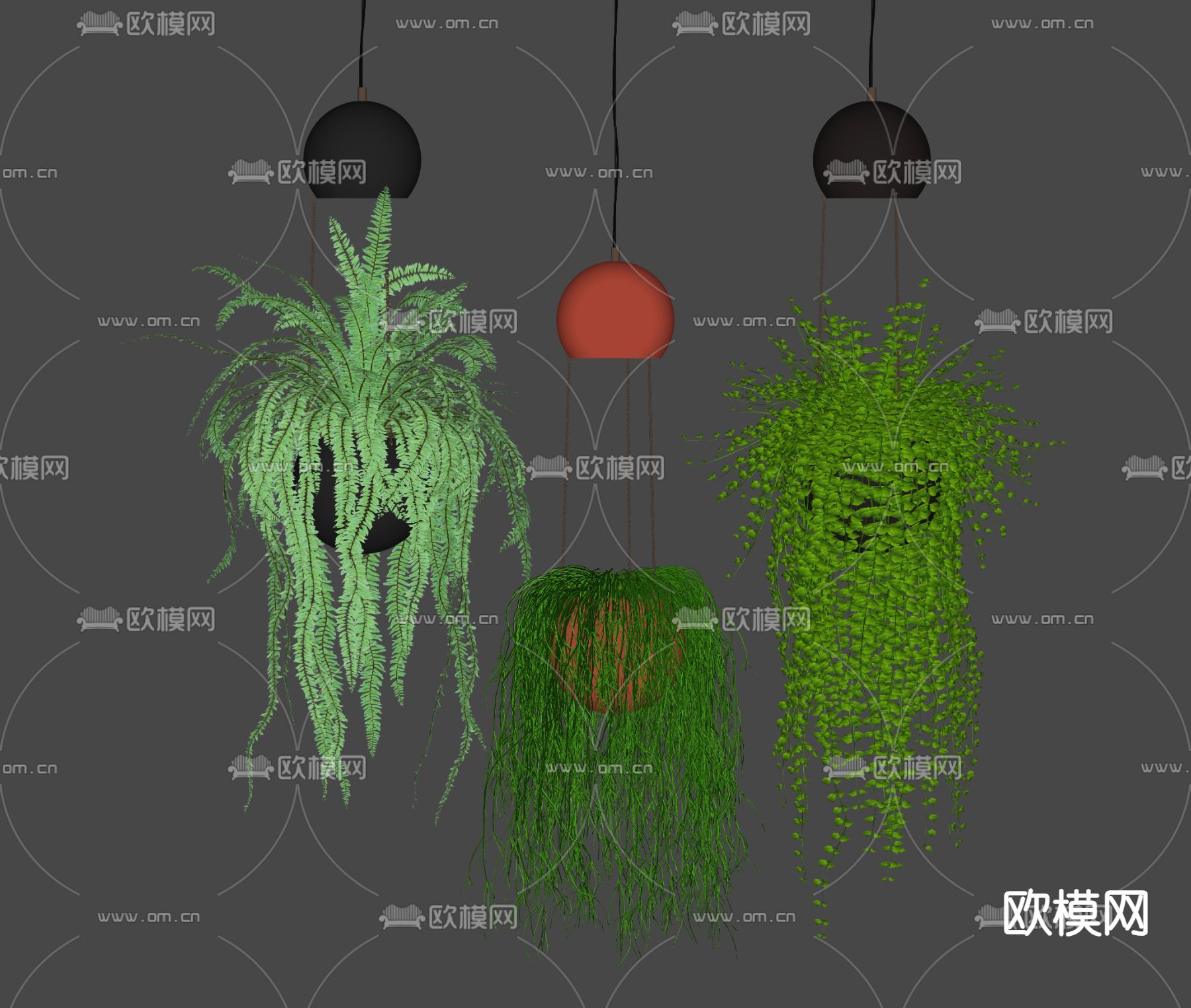 吊篮蕨类su模型下载（渲染图2）